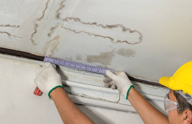 Reliable Basement Water Removal contractor in North Salt Lake, UT by Water Damage Irwin